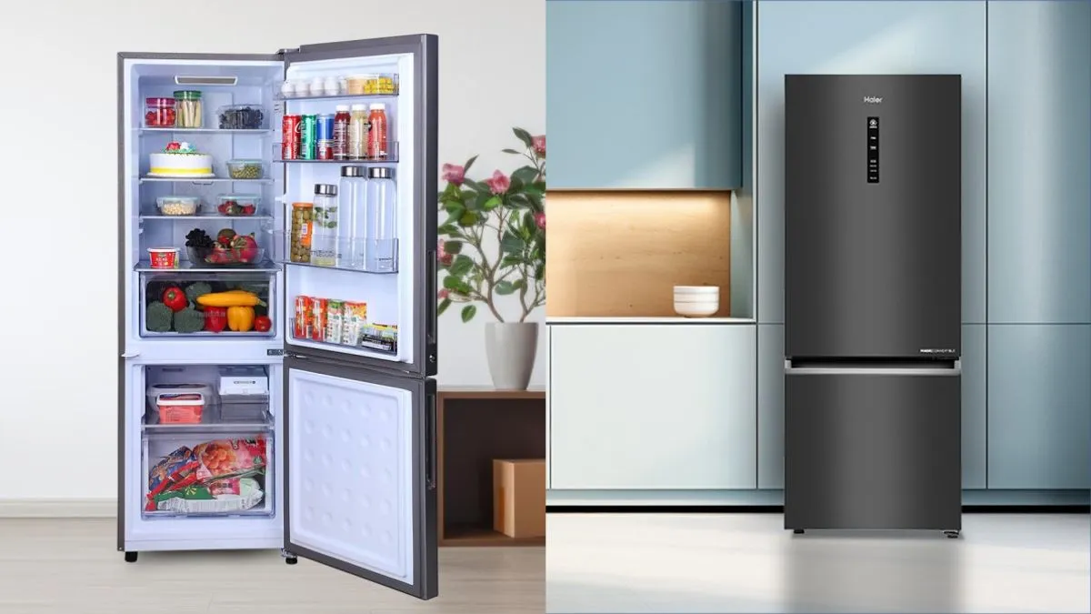 Bottom Freezer vs Top Freezer Fridge: Which Is Right For You?